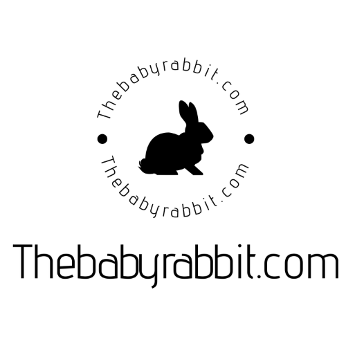 Thebabyrabbit